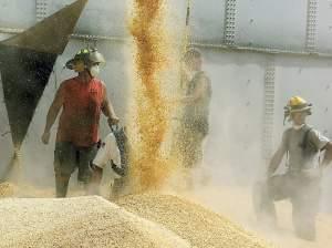 Workers drain corn from Haasbach LLC's Bin No. 9 as rescuers work inside to free three trapped boys July 28, 2010, in Mount Carroll, Ill. Triangular-shaped holes like the one pictured (left) were cut all around the bin to drain the corn evenly a