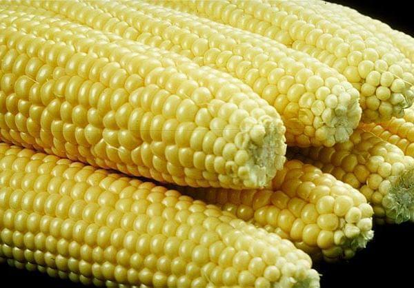 Husked sweetcorn