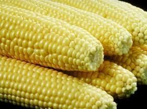 Husked sweetcorn