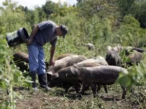 farmer