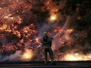 A firefighter uses a hose to douse the flames of the Rim Fire on Saturday near Groveland, California.