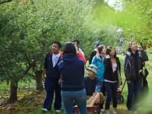 visitors at Curtis Orchard