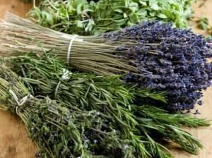 Rosemary and other bundled herbs