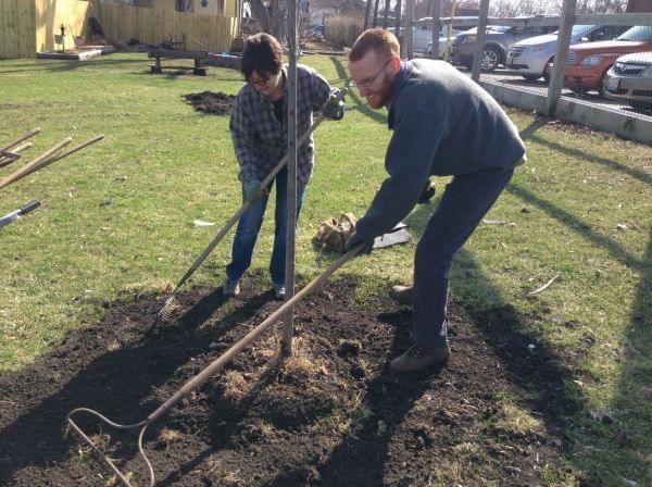 Ann-Marie Stimphson and Wes Kocher of Champaign plant a tree on Saturday, April 5, 2014 in Gifford, Ill.