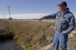 Farmer Lin Warfel stands on his farm in front of a drainage area