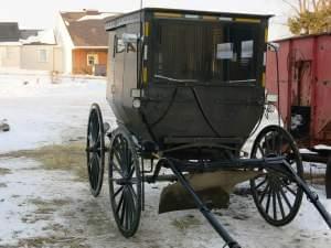 Horse-drawn buggy in Arcola Illinois.