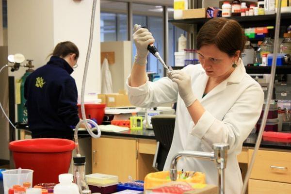 University of Illinois researcher working on cancer drugs in a lab