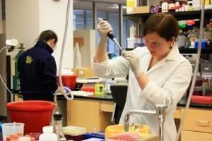 University of Illinois researcher working on cancer drugs in a lab