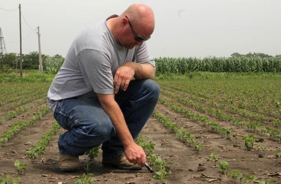 Matt Plenge’s Kahoka, Mo., farm