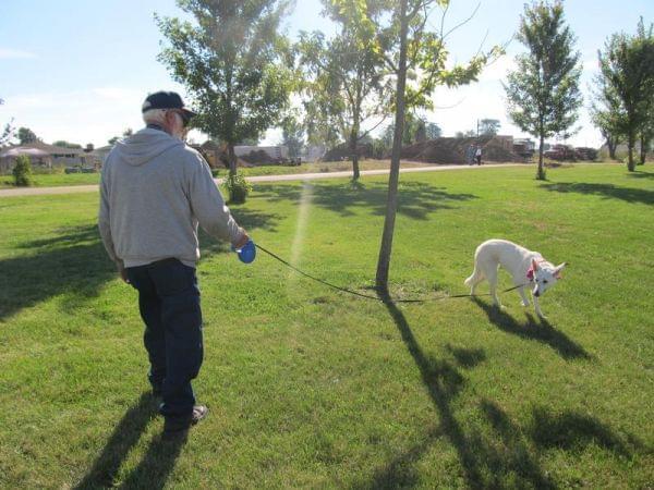 Clem Schultz walking his dog. Schultz lost his wife in the Fairdale tornado on April 9, 2015