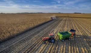 A central Illinois farmer harvests his crop