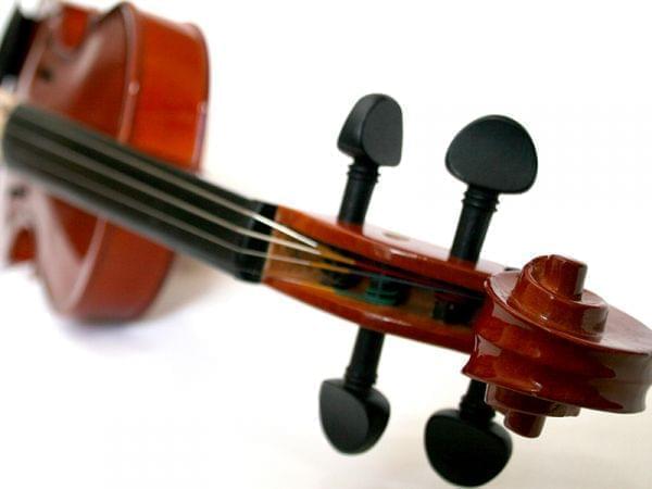 Violin scroll