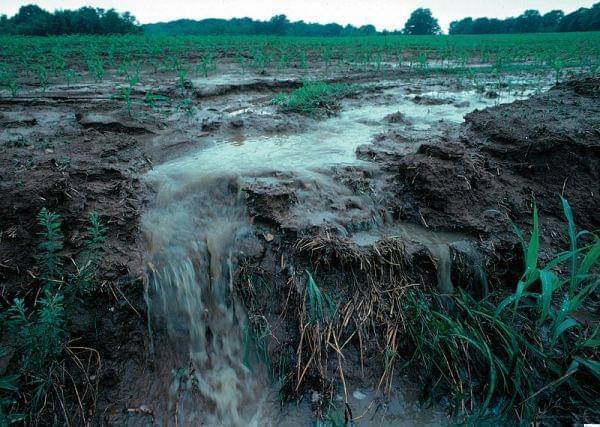 Soil erosion on a farmland