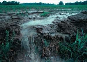 Soil erosion on a farmland