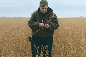 Lynn Rohrscheib inspects her soybean fields. 