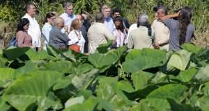 U.S. Secretary of Agriculture Thomas Vilsack, and Senator Jeff Merkley of Oregon in Havana, Cuba