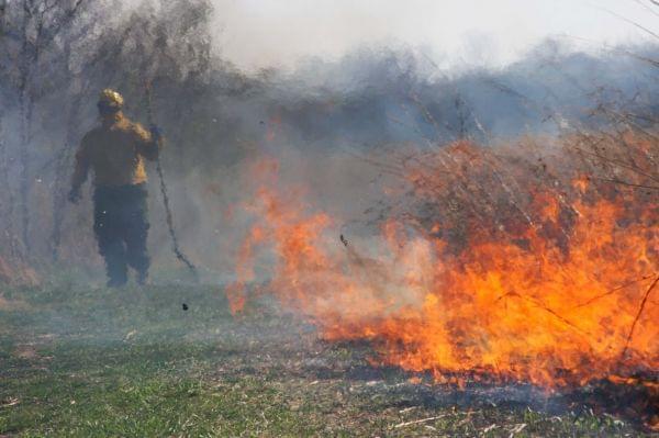 Medium shot of person in yellow fire suit seen through flames of prairie burn.