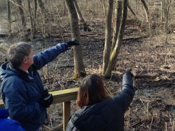 Walk leader Greg Lambeth pointing into the woods at a bird (not visible).