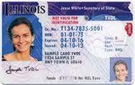 Illinois Drivers License