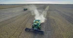 Central Illinois farmers harvest corn.