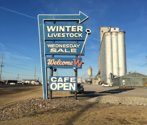 Dodge City, Kansas, holds weekly livestock auctions throughout the winter.