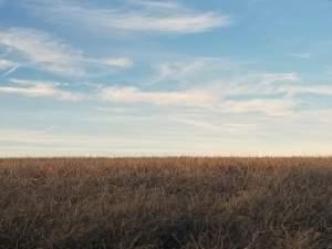 Drought conditions in Illinois may improve with hard spring rains, though it doesn't seem that way looking at this field in western Illinois.