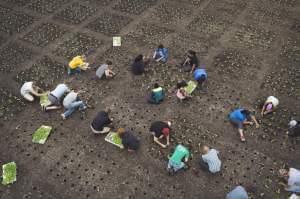 RIPE Project researchers at a test plot.