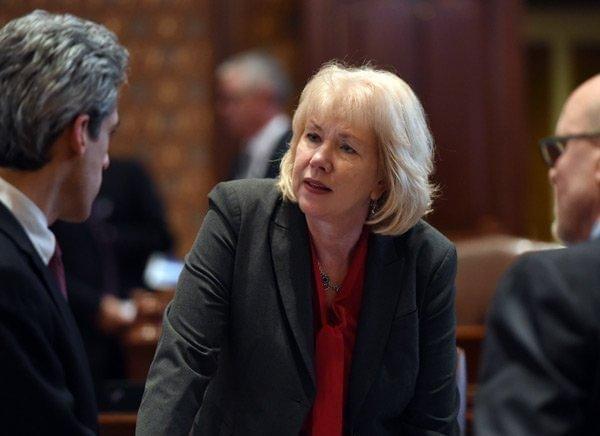 In response to the deadly Waffle House shooting in Nashville, state Sen. Julie Morrison (D-Deerfield) wants to make sure firearms stay with those who can legally carry them.