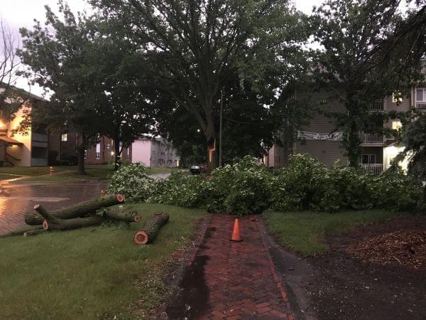 A severe storm Sunday damaged homes and trees in Champaign-Urbana, including this tree on Clark Street in Urbana.