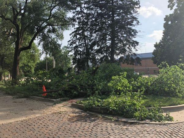 Debris in Urbana leftover from a severe storm that produced two tornadoes in south and west Champaign on Sunday June 10. 