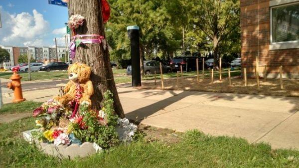 The memorial site for missing Chinese scholar Yingying Zhang