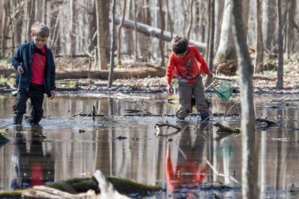 Two boys in rubber boots holding nets stand in a woodland pool .