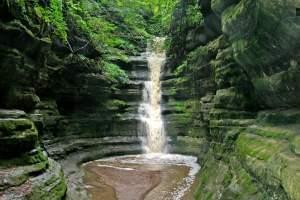 Picture of a waterfall in a forest. 