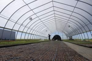 Logan Bird waters about 90,000 hemp seedlings on Andy Huston's farm in western Illinois.