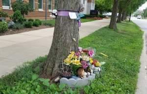 Unofficial Yingying Zhang Memorial at the campus bus stop where she was last seen.