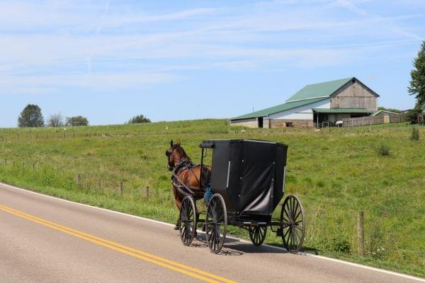 horse and buggy