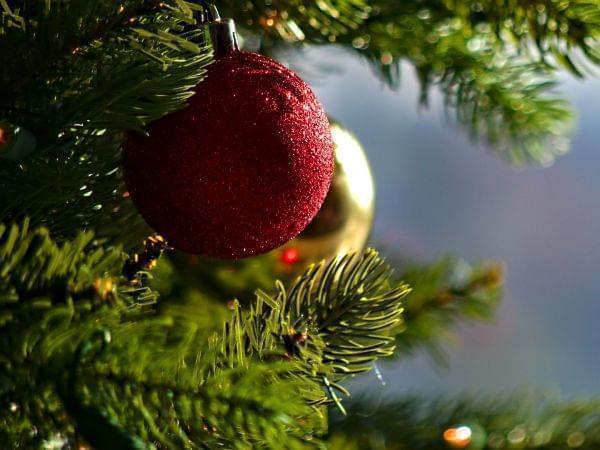 Ornaments hanging on a Christmas tree.