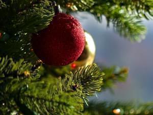 Ornaments hanging on a Christmas tree.