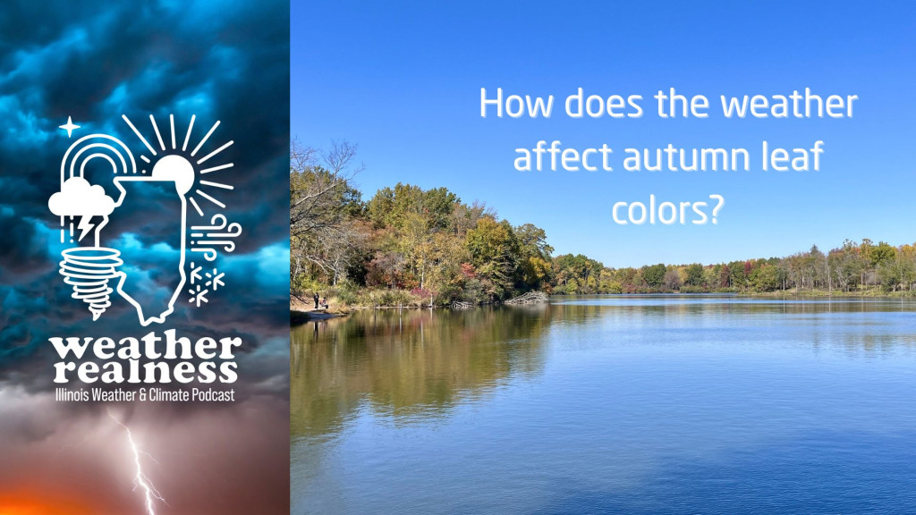 lake surrounded by trees