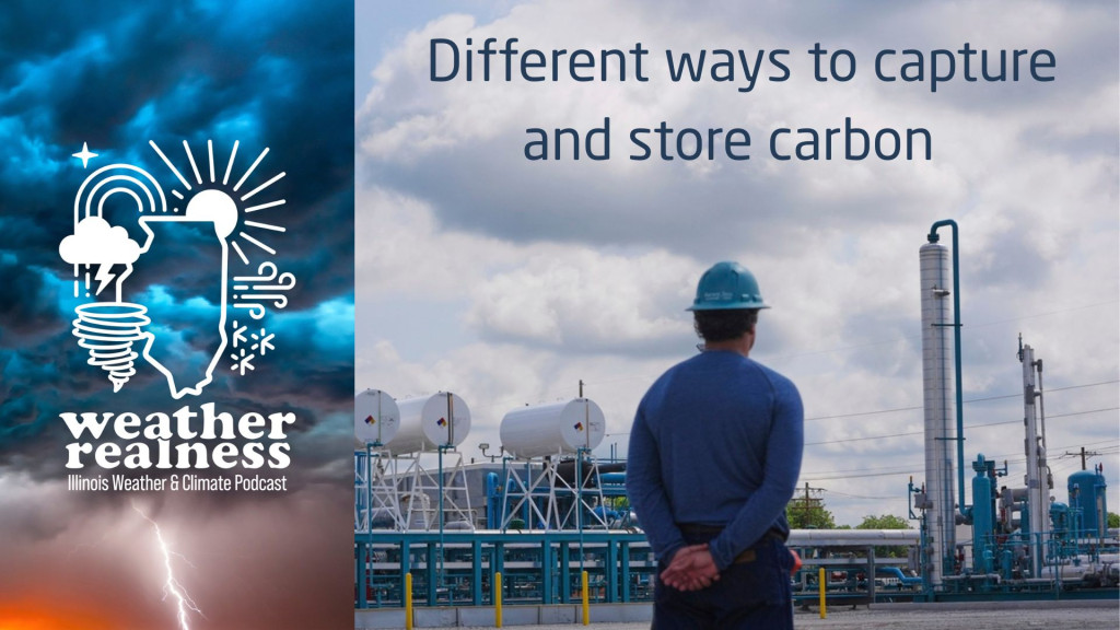 carbon capture power plant