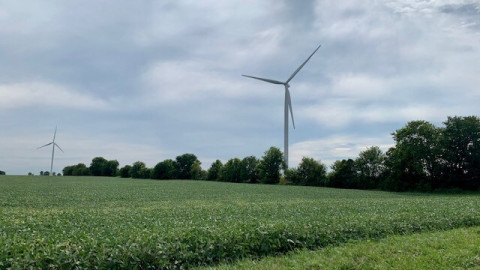 farm fields in Vermilion County 