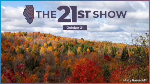 while clouds cover most (but not all) of the sky, the sun shines on parts of a gently sloping hillside covered with trees whose leaves are red, orange, yellow and green