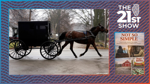 a black buggy pulled by a dark brown horse on moves from left to right on a paved road