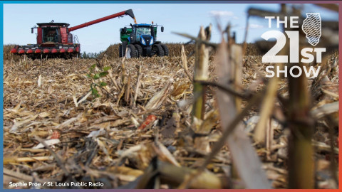A combine unloads hundreds of bushels of corn into a grain cart on a farm near Greenfield, Illinois in September 2024. 