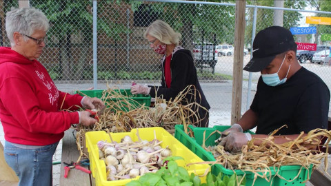 women looking at vegetables