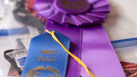 purple and blue ribbon